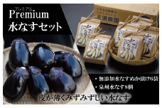 【先行予約】Premium水なすセット【新鮮 野菜 泉佐野産 茄子 やさい 高評価 数量限定】