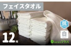 白タオル12枚（抗ウイルス加工）【泉州タオル 国産 吸水 普段使い シンプル 日用品】
