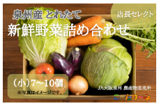 JA大阪泉州 直売所店長セレクト 新鮮野菜セット【7～10個 詰め合わせ 泉佐野産 とれたて 新鮮野菜 やさい 高評価 数量限定】