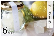 コハクトウおまかせセット