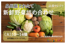 JA大阪泉州 直売所店長セレクト 新鮮野菜セット【10～14個 詰め合わせ 泉佐野産 とれたて 新鮮野菜 やさい 高評価 数量限定】