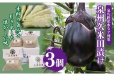 泉州特産 水なす ぬか漬け 3個【泉州久米田漬け 水茄子 なす 旬 野菜 おつまみ ギフト 贈り物】