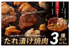 アキラ商店 3種盛り合わせセット 合計 1kg【焼肉用ホルモン 牛肉 ハラミ ミノ 小腸 焼くだけ 小分け BBQ やきにく 数量限定】