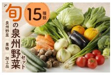 【スピード発送】旬の野菜セット 15種類【国産 新鮮 おまかせ お楽しみ 旬 詰め合わせ 泉州野菜】