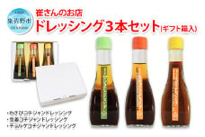 崔さんのドレッシング 3本セット 化粧箱入り【わさびコチジャンドレッシング／生姜コチジャンドレッシング／チョルゲドレッシング】