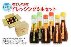 崔さんのドレッシング 6本セット【わさびコチジャンドレッシング／生姜コチジャンドレッシング／チョルゲドレッシング】