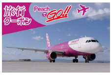 PeachでGo！！泉佐野市宿泊 旅行クーポン（15,000円分）【宿泊 旅行 ホテル トラベル】