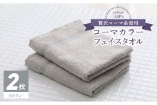 コーマカラーフェイスタオル2枚（ガルグレー) 【泉州タオル 国産 吸水 薄手 普段使い 無地 シンプル 日用品】