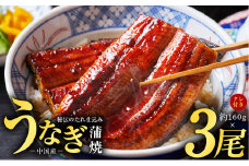 秘伝のたれ仕込み うなぎ蒲焼 合計480g（約160g×3尾）鰻 ウナギ 中国産 温めるだけ 簡単 レンジ調理 ふっくらふわふわ 炭火焼き 備長炭 手焼き