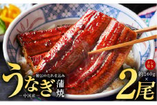 秘伝のたれ仕込み うなぎ蒲焼 合計 320g（約160g×2尾）鰻 ウナギ 中国産 温めるだけ 簡単 レンジ調理 ふっくらふわふわ 炭火焼き 備長炭 手焼き