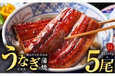 秘伝のたれ仕込み うなぎ蒲焼 合計800g（約160g×5尾）鰻 ウナギ 中国産 温めるだけ 簡単 レンジ調理 ふっくらふわふわ 炭火焼き 備長炭 手焼き