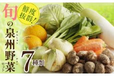 【家計応援】野菜セット 7種類【詰め合わせ 国産 旬 お試し おまかせ お楽しみ 期間限定 スピード発送】