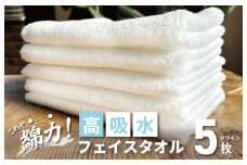 【スピード発送】高吸水 フェイスタオル 5枚 ホワイト【これぞ綿力 泉州タオル 国産 吸水 普段使い シンプル 日用品 家族 ファミリー】