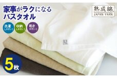 【スピード発送】家事がラクになるバスタオル 5枚セット 訳あり B品タオル 国内製造 泉州タオル【泉州タオル 国産 吸水 普段使い 無地 シンプル 日用品 家族 ファミリー】