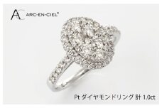 ARC-EN-CIEL プラチナ ダイヤリング（計 1.0ct）【鑑別書付き ジュエリー プレゼント ギフト ファッション アクセサリー 贈り物 贈答 お祝い 記念日】