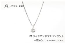 アルカンシェル プラチナ ダイヤ プチペンダント（計0.2ct）【鑑別書付き ジュエリー プレゼント ギフト ファッション アクセサリー 贈り物 贈答 お祝い 記念日】