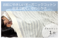 お肌にやさしいタオルケット（cotton meシリーズ）1枚（グレー）【泉州タオル 国産 吸水 普段使い シンプル 日用品】