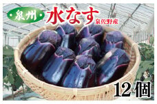 【先行予約】泉州 水なす 12個【ハウス栽培 新鮮 野菜 泉佐野産 茄子 数量限定】