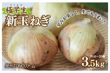 【先行予約】極早生 新たまねぎ 3.5kg【新鮮 野菜 泉佐野産 玉ねぎ 玉葱 やさい TONOファーム 数量限定 】