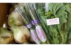 【先行予約】泉州TONOファーム厳選 春の野菜セット【新鮮 野菜 泉佐野産 やさい 数量限定 】