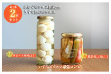 【いずみピクルス】担当者が選んだピクルス 2本セット うずら卵／水なすピクルス和風mix NSW 