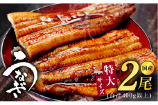 特大サイズ 国産うなぎ 2尾 合計400g以上