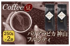 バリアラビカ神山フルシティ　250g×2袋／豆 【珈琲 こーひー コーヒー 自家焙煎 オリジナル ギフト キャンプ アウトドア 家計応援】