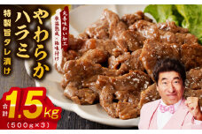 やわらかハラミ 1.5kg【氷温熟成×特製旨ダレ 味付き 牛肉 訳あり 不揃い 焼肉 BBQ 野菜炒め】