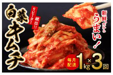 定期便 白菜キムチ 1kg × 3回【毎月配送コース 高評価 人気 惣菜 きむち 漬物 韓国グルメ おつまみ 家計応援 お楽しみ 福袋】