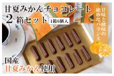【スピード発送】甘夏みかんチョコレート 2箱セット  瀧のしずく