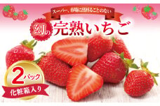 【先行予約】朝摘み 完熟いちご 2パック【化粧箱入り 苺 無添加 自然素材 フルーツ イチゴ 高評価 数量限定】