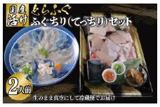 国産活け とらふぐ ふぐちり／ふぐ刺し セット 2人前【てっさ ふぐ フグ ぽん酢付 冷蔵 海鮮】