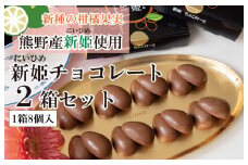 【スピード発送】新姫(にいひめ)チョコレート 2箱セット  瀧のしずく