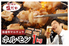 国産 牛肉 ホルモン 1kg 塩だれ漬け 焼肉用 小分け 250g×4P【牛肉 焼肉用 焼くだけ 小分け BBQ やきにく 数量限定】