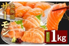 北極圏サーモン ポーション 1kg【高級 小分け 海鮮丼 人気 オススメ 小分け 冷凍 簡単調理 一人暮らし】