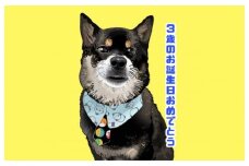 プレゼントにピッタリ！似顔絵アート 1名