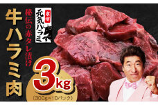 【TVで紹介！】牛ハラミ肉 3kg（300g×10）秘伝の赤タレ漬け 訳あり サイズ不揃い【牛肉 焼肉用 焼くだけ 冷凍 小分け 焼肉 BBQ 肉厚 人気 高評価 訳あり サイズ不揃い 家計応援 消費応援品 数量限定】