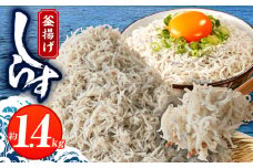 釜揚げしらす 1.4kg 訳あり 家庭用 完全無添加 うす塩仕立て