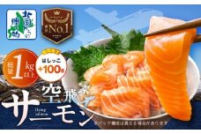 【期間限定】アトランティックサーモン 総量 1kg以上＋はしっこ100g【フィレ エコパック 訳あり サイズ不揃い 刺身 さーもん 冷凍 北国からの贈り物】