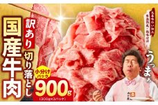【TVで紹介！】国産牛 切り落とし 900g 小分け 300g×3P【国産 牛肉 氷温熟成×極味付け 訳あり サイズ不揃い カレー 牛丼 野菜炒め 肉じゃが 家計応援】