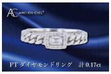 ARC-EN-CIEL プラチナ ダイヤリング ダイヤ計0.17ct【鑑別書付き ジュエリー プレゼント ギフト ファッション アクセサリー 贈り物 贈答 お祝い 記念日】