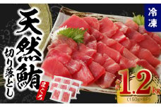 【家計応援】天然まぐろ 切り落とし 合計 1.2kg 小分け 150g×8P【訳あり サイズ不揃い 刺身 海鮮丼 鮪 まぐろ マグロ ユッケ 海鮮 ネギトロ 小分け ファミリー向け】