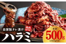 【スピード発送】焼き肉専門店 自家製タレ漬け ハラミ 合計500g（250g×2）