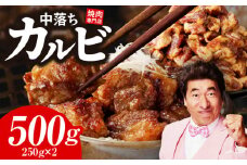 【スピード発送】焼き肉専門店 自家製タレ漬け 中落ちカルビ 合計500g（250g×2）