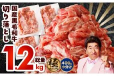【3パック】味付け 黒毛和牛切り落とし 1.2kg 小分け 400g×3 訳あり 部位不揃い 特別寄附金額