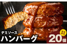 【簡単調理】ハンバーグ 20個 デミグラスソース【鉄板焼き 小分け 時短 合い挽き ハンバーグ ステーキ はんばーぐ 冷凍 湯せん 合い挽き】