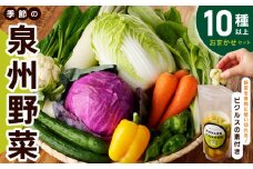 季節の泉州野菜 10種 おまかせセット ピクルスの素 2袋付き いずみピクルス NSW
