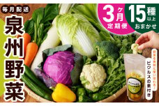 旬の新鮮 野菜セット（15種以上）定期便 全3回 おまかせ ピクルスの素付き ファミリー向け いずみピクルス NSW【毎月配送コース】