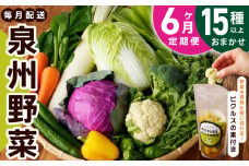 旬の新鮮 野菜セット（15種以上）定期便 全6回 おまかせ ピクルスの素付き ファミリー向け いずみピクルス NSW【毎月配送コース】