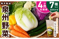 旬の新鮮 野菜セット（7種以上）定期便 全4回 おまかせ ピクルスの素付き ファミリー向け いずみピクルス NSW【毎月配送コース】